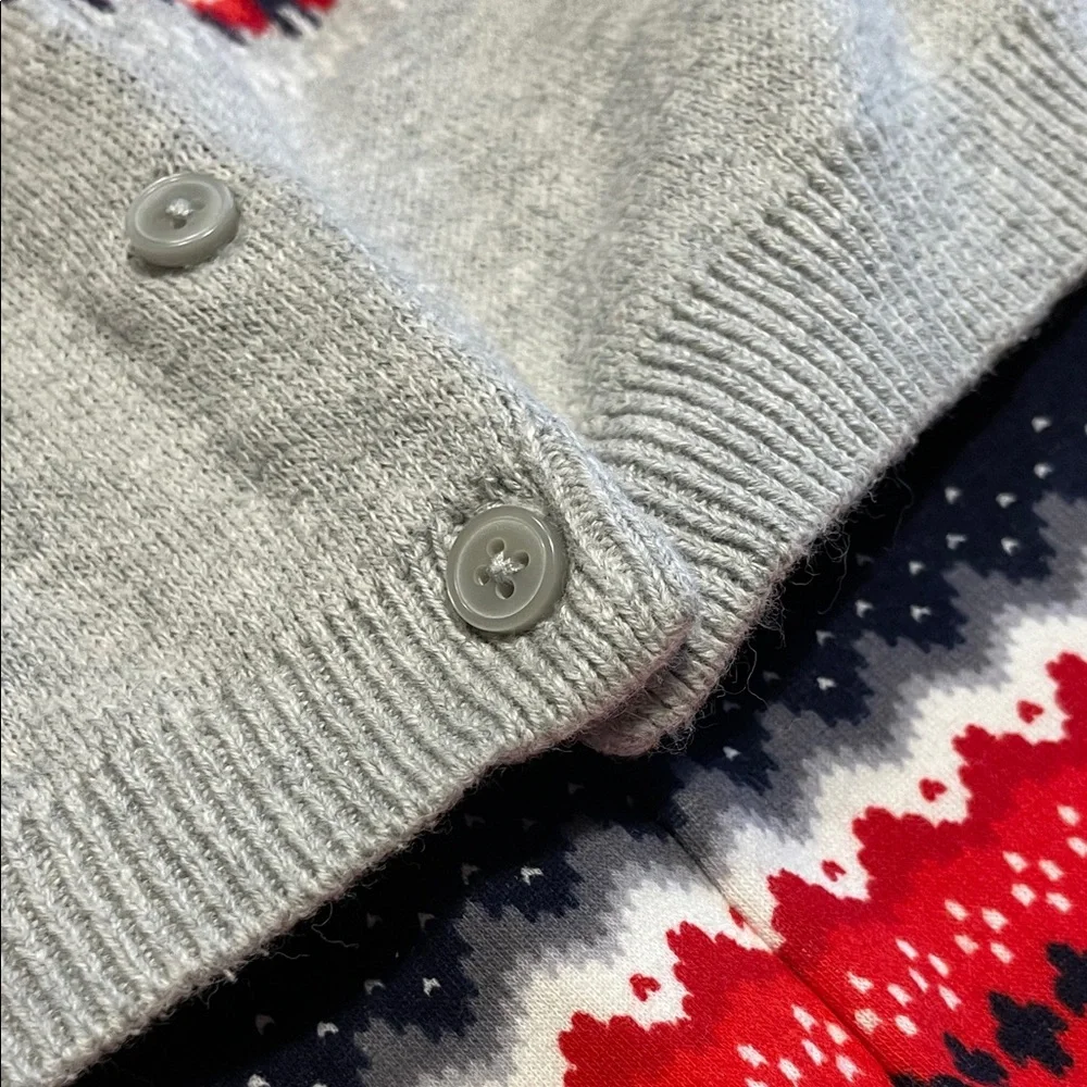 Gymboree Red and Gray Kids Matching Set